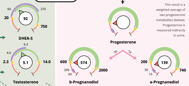 Close-up of functional lab testing report showing hormone and nutrient markers.