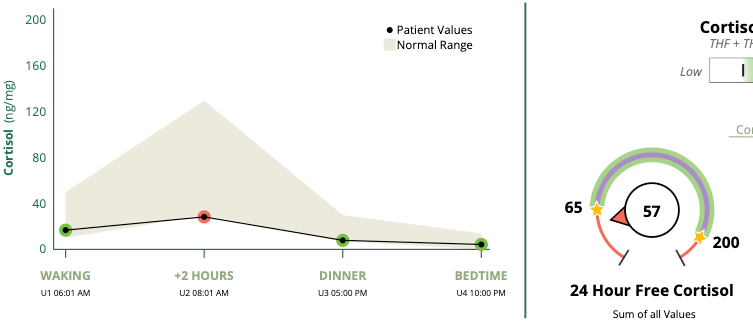 Printed functional lab testing panels with values and reference ranges visible.